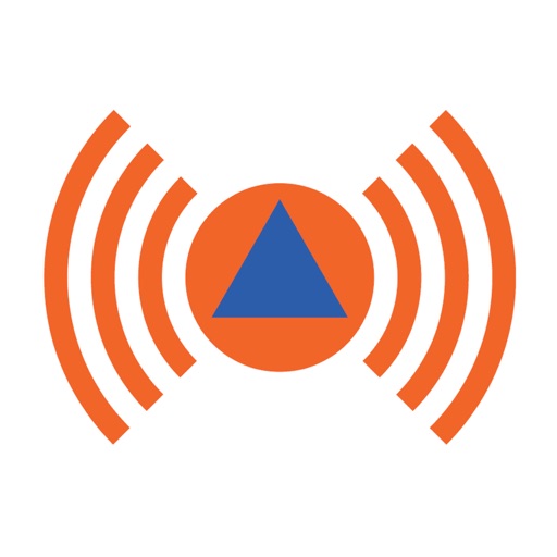 NINA Logo